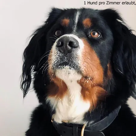 Hotel Haus Seeblick 3*