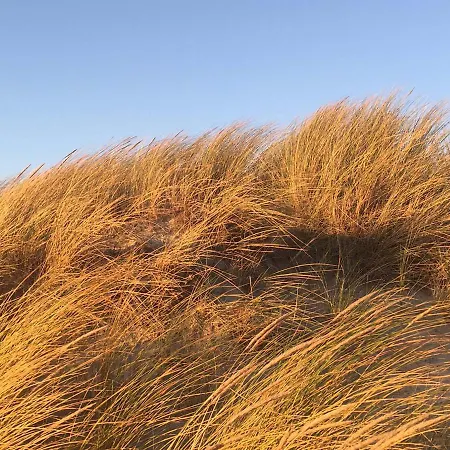 Haus Seeblick Hotel 3*