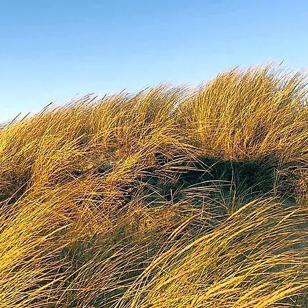 Haus Seeblick Norderney